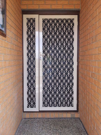 Frondoorwithsidepane1.jpg - small