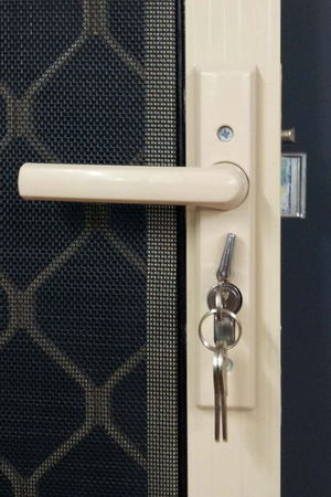 hinge-door-lock.jpg - small