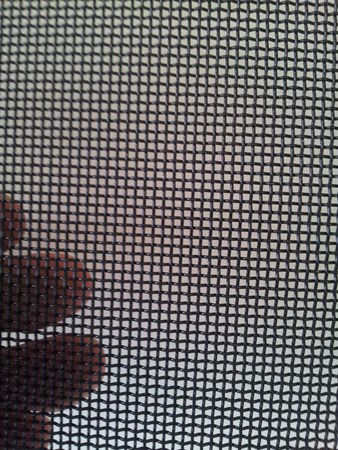 StainlessSteelMesh.jpg - small